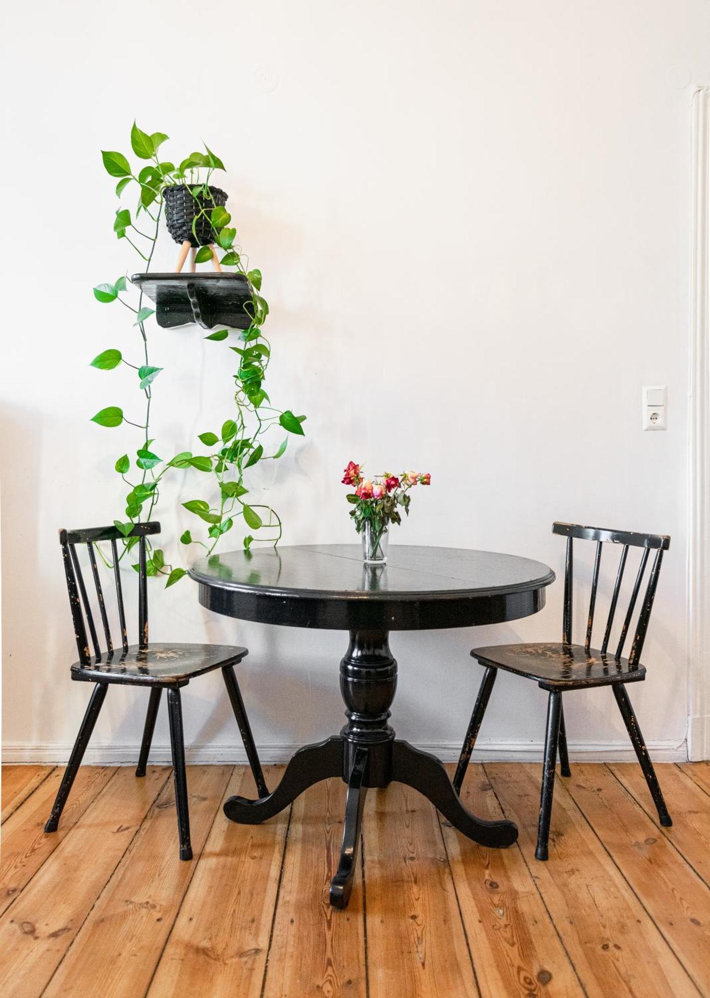 Boutique Altbau Appartement *